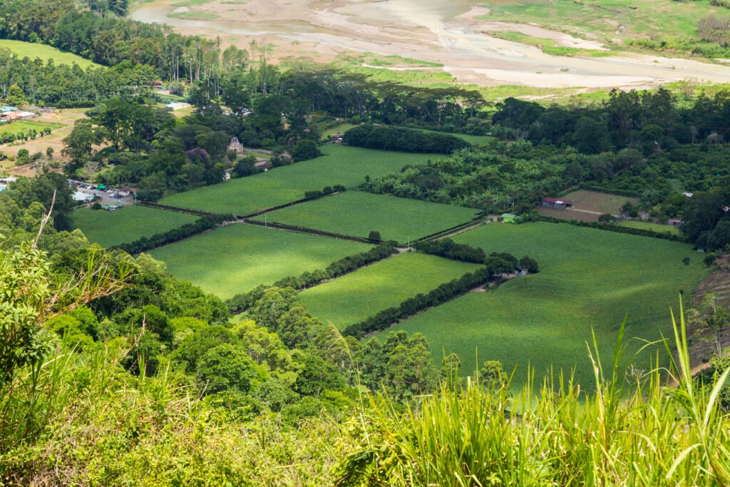 Kutri Village Industrial Development Opportunity